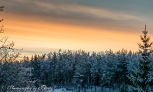 ClientWebCopy-9-of-26-300x180 _ClientWebCopy (9 of 26)
