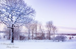 ClientWebCopy-1-of-31-300x194 _ClientWebCopy (1 of 31)