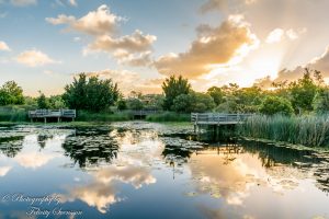 ClientFBCopy-1-of-1-4-1-300x200 Australian Landscape Photographs