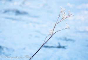 ClientWebCopy-6-of-26-300x206 _ClientWebCopy (6 of 26)
