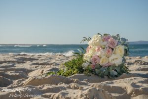 ClientInternetCopy-542-of-843-300x200 ClientInternetCopy (542 of 843)